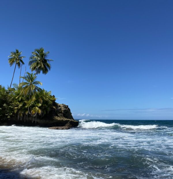 Kolumbie a Mexiko a moře a palmy