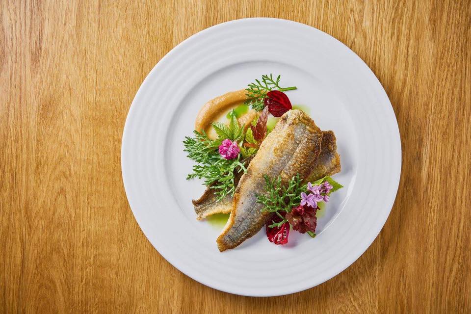 Gastrotour La Vida Tours ryby