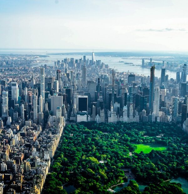 New York La Vida Tours