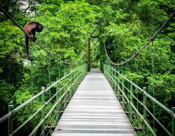 Lanové mosty Kostarika