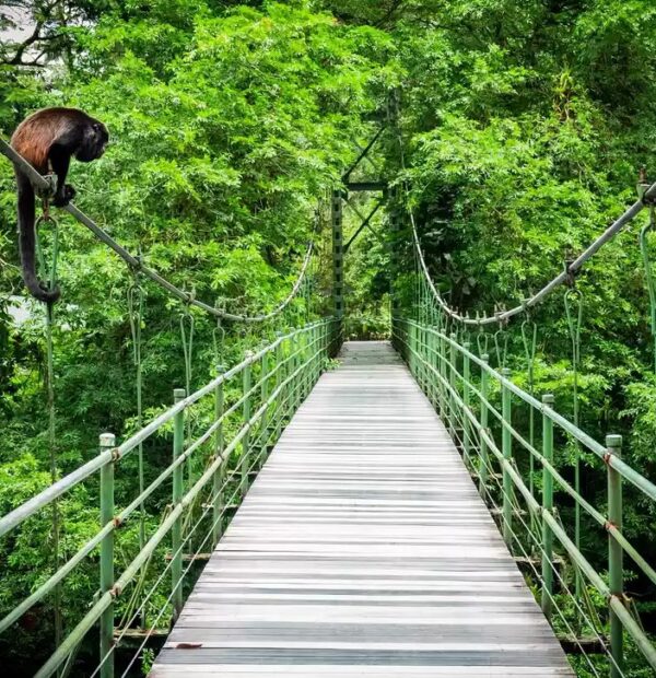 Lanové mosty Kostarika