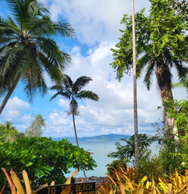 Palmy a směr pláž Kostarika