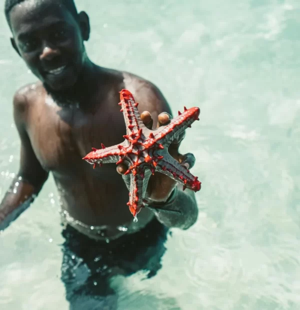 Zanzibar mořská hvězdice a muž