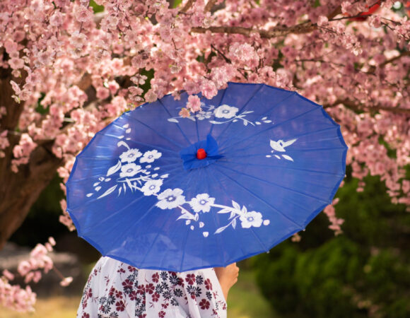 Japonsko zájezd rozkvetlé sakury