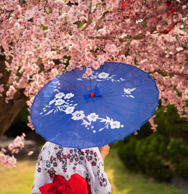 Japonsko zájezd rozkvetlé sakury