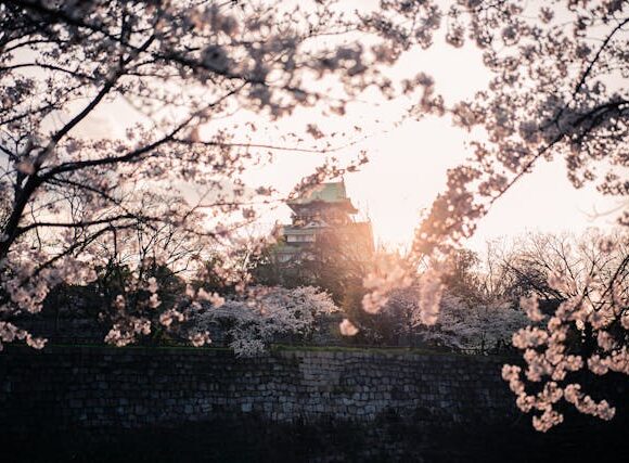 VIZUÁLNÍ HOSTINA  „hanami“ JAPONSKO