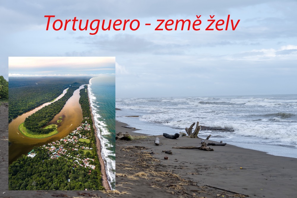 Národní park Tortuguero Kostarika mořské želvy